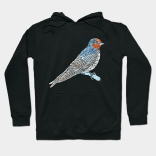 Welcome Swallow Hoodie